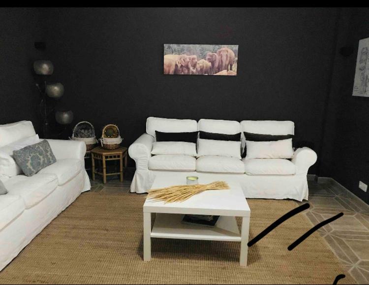 セーCasa Mardukアパートメント エクステリア 写真